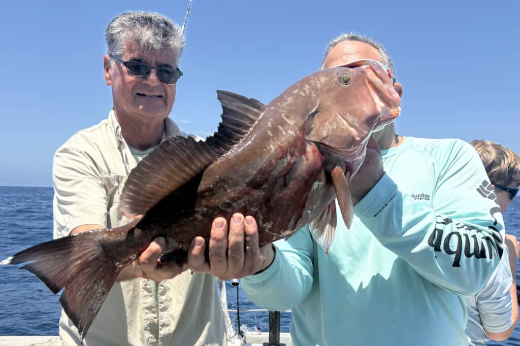 OFFSHORE-redgrouper (1)