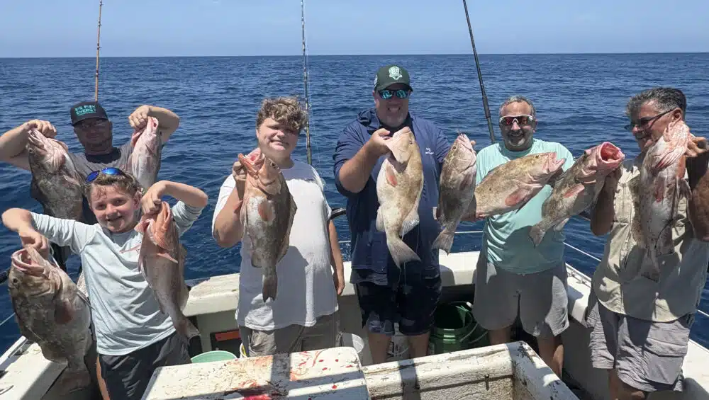 Hubbard's Marina Fishing Report 5-2-26 | Hubbards Marina | Deep Sea Fishing  | Dolphin Watching Tours | John's Pass Madeira Beach FL