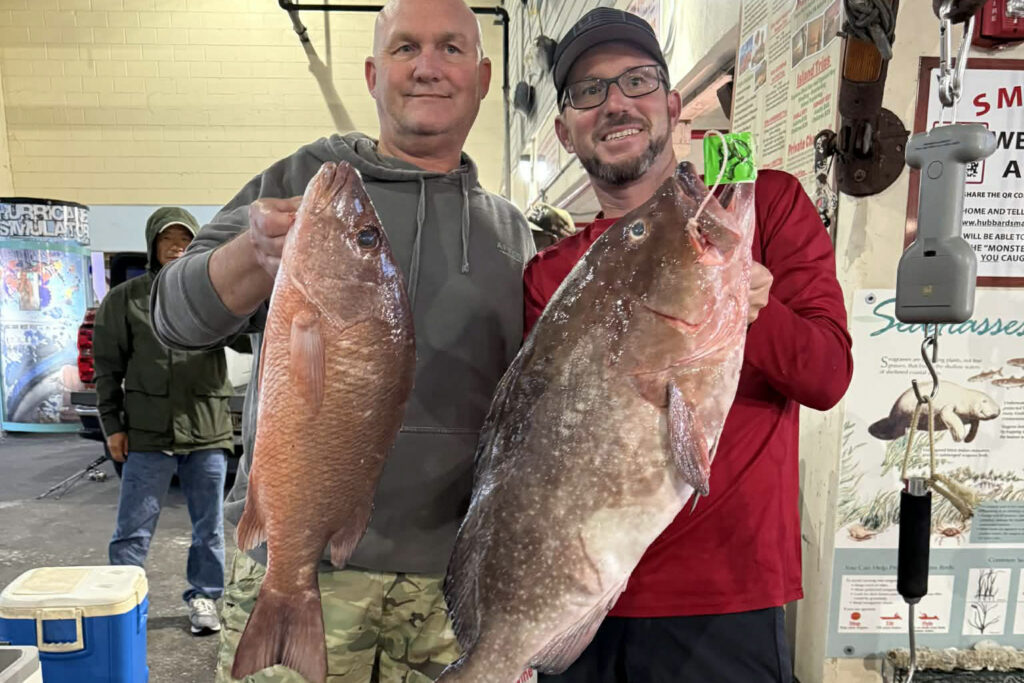 OFFSHORE-redgrouper