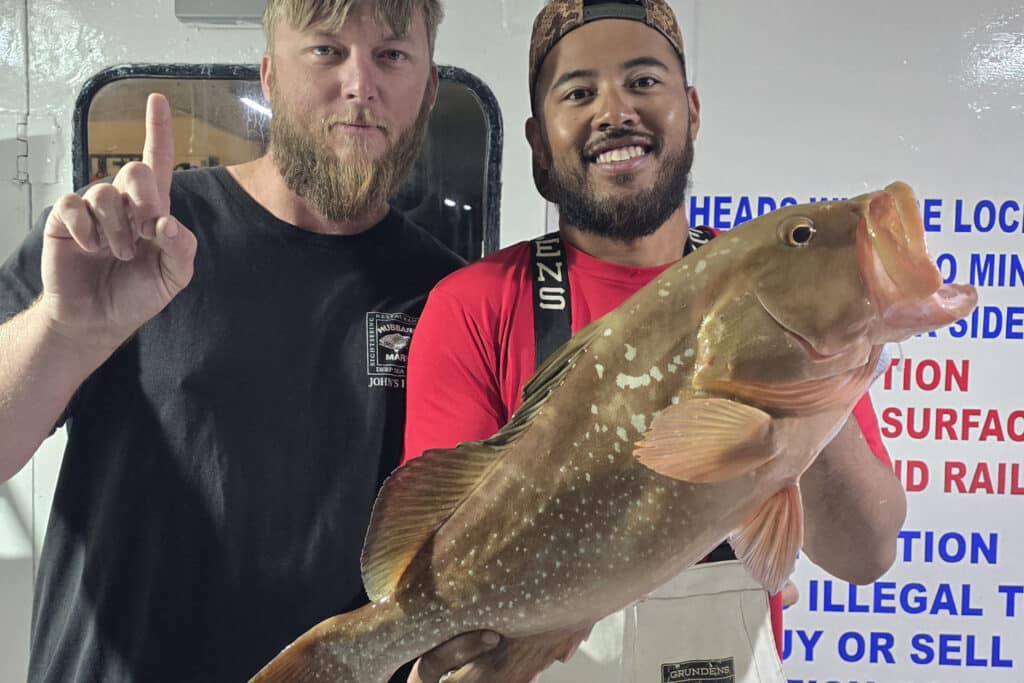OFFSHORE-redgrouper (3)