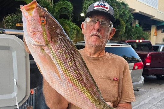 OFFSHORE-yellowtail