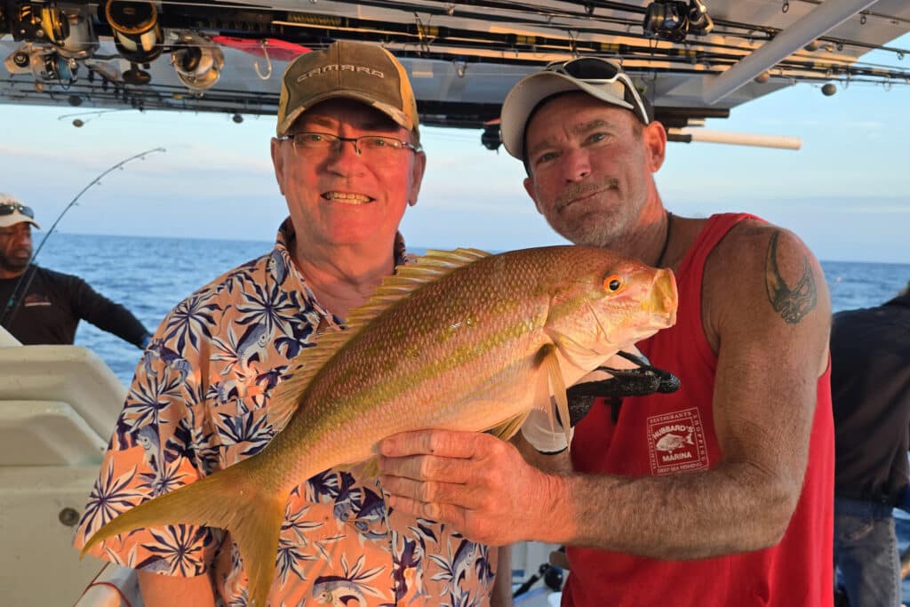 OFFSHORE-yellowtailsnapper