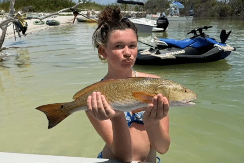 INSHORE-redfish3