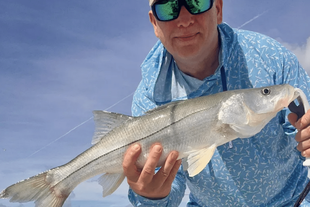 INSHORE-snook (1)
