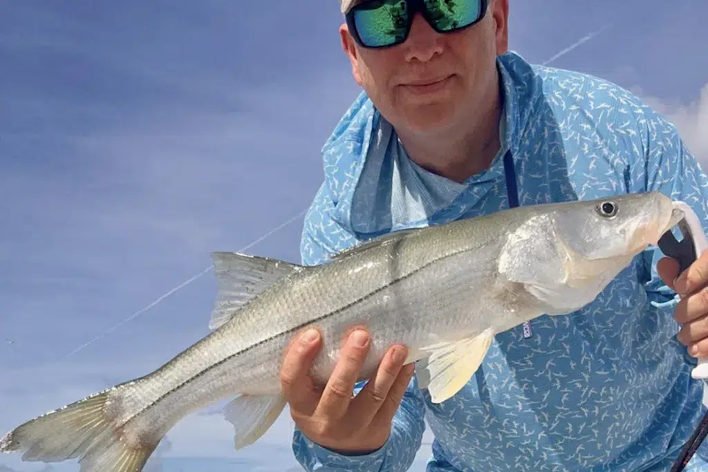 INSHORE-snook (1)