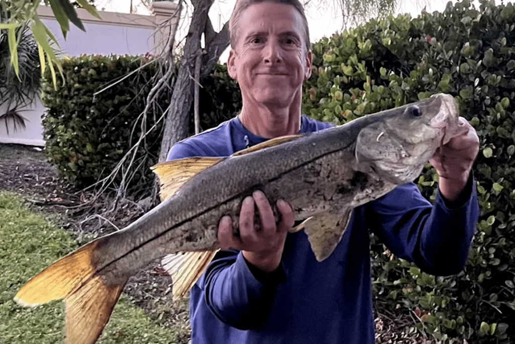 INSHORE-snook