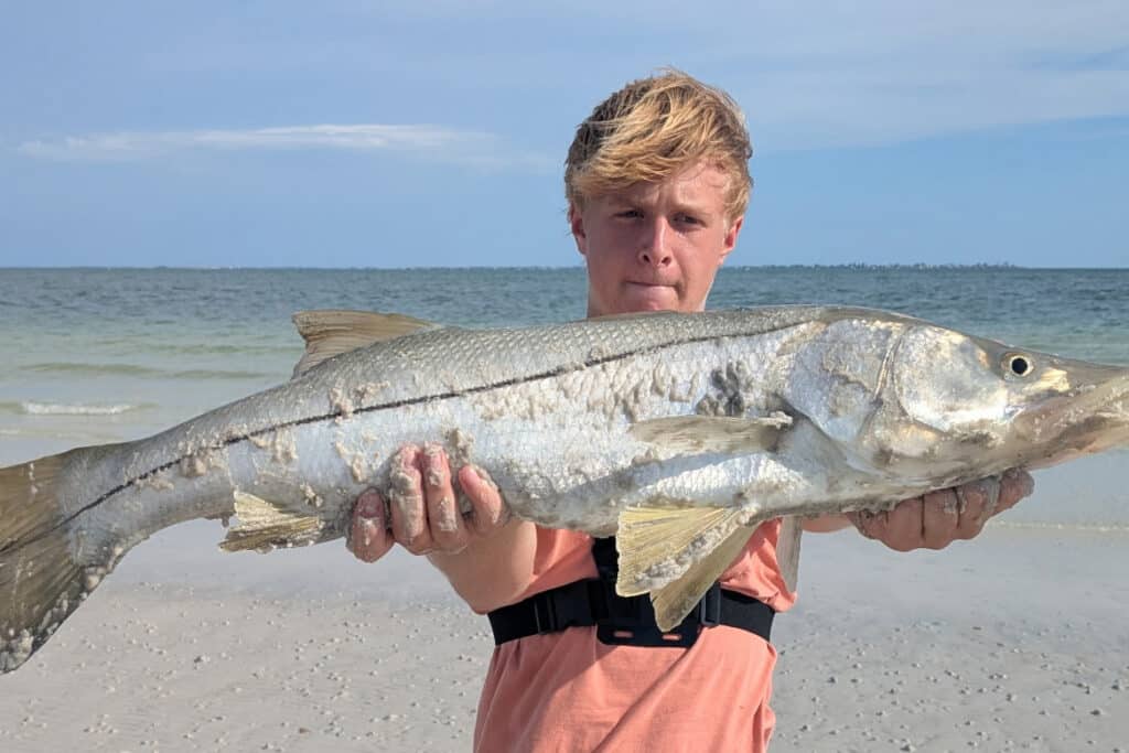 INSHORE-snook