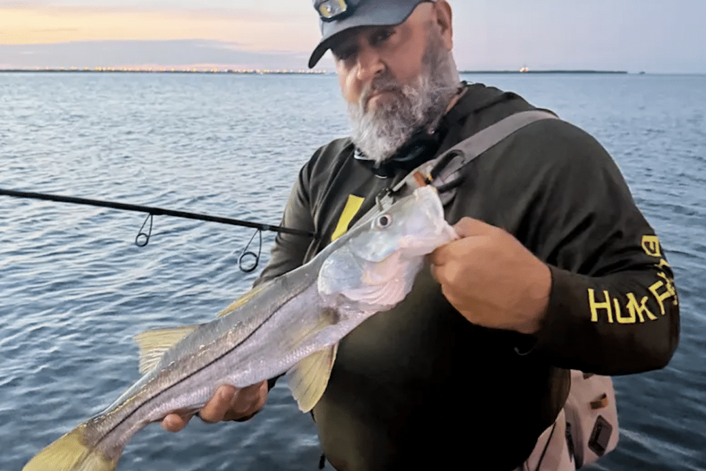 INSHORE-snook (7)
