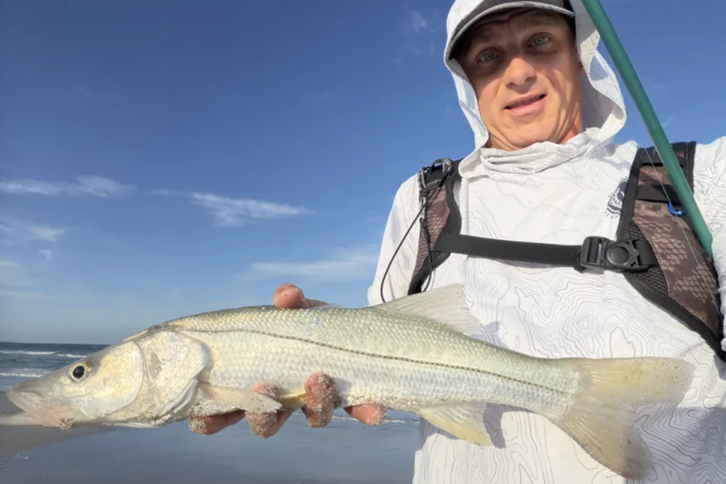 INSHORE-snook (9)