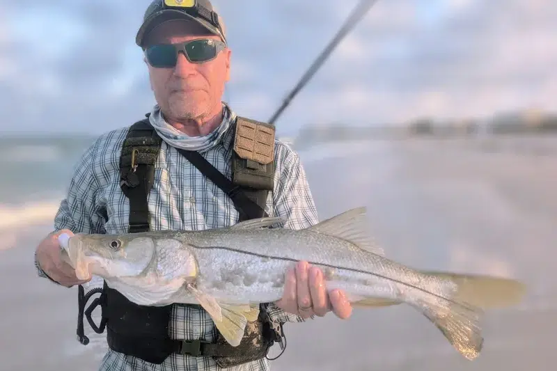INSHORE-snook10
