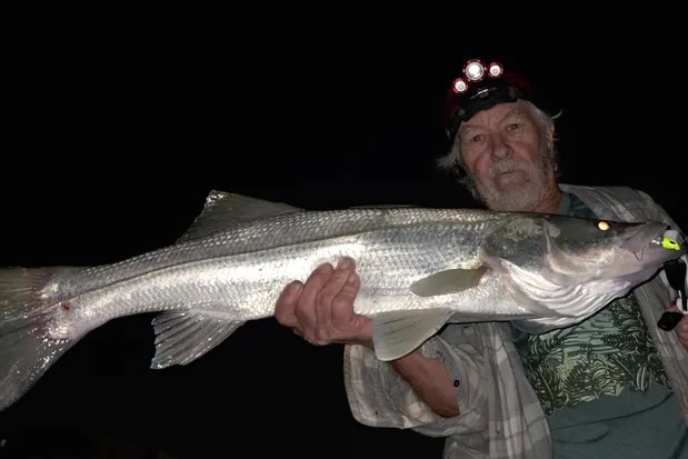 INSHORE-snook3