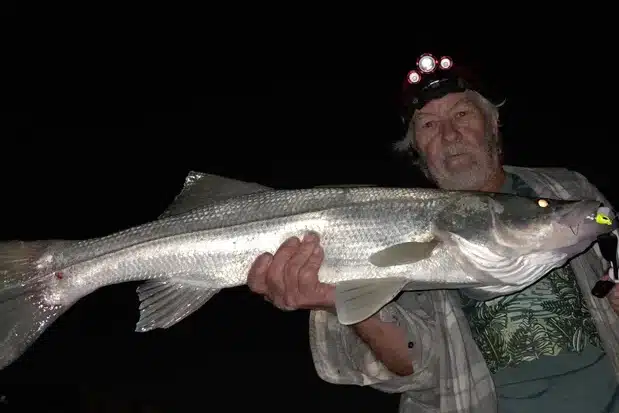 INSHORE-snook3
