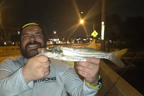 INSHORE-snook5