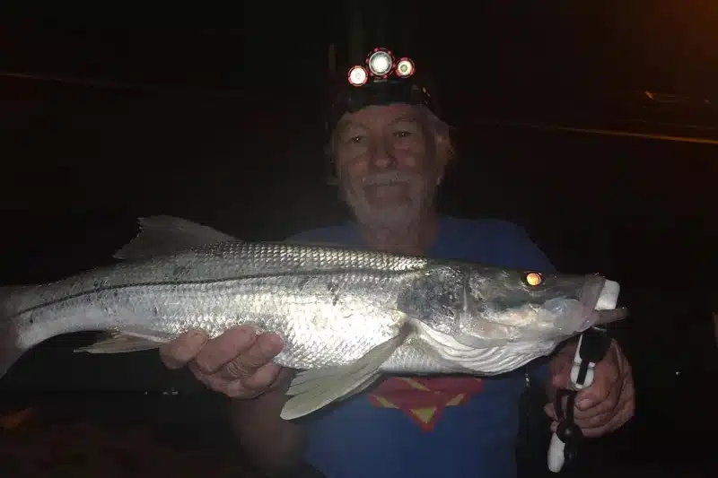INSHORE-snook6