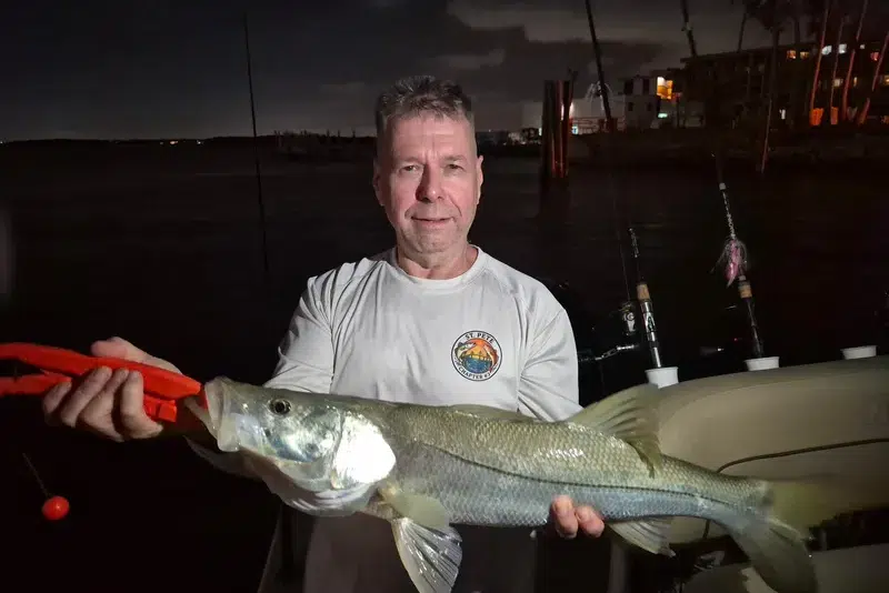 INSHORE-snook7