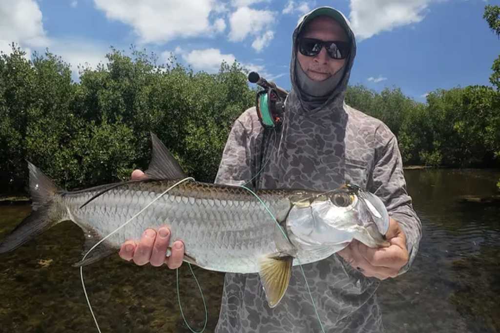INSHORE-tarpon