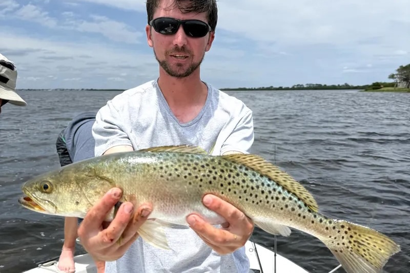 INSHORE-trout