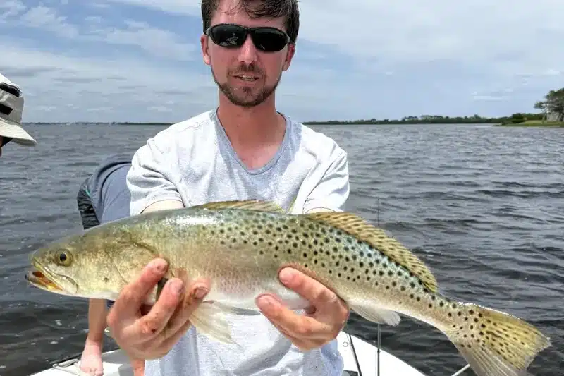 INSHORE-trout