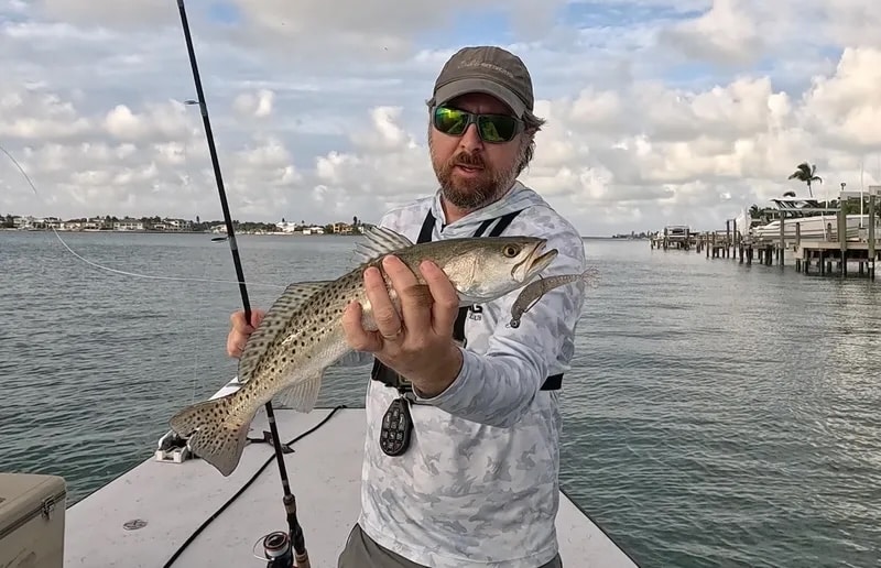 INSHORE-trout3