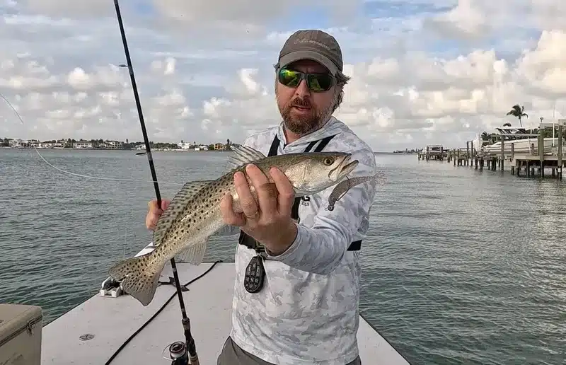 INSHORE-trout3
