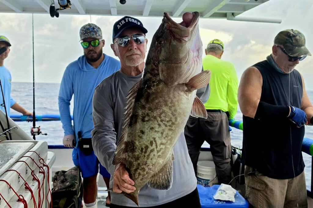 OFFSHORE-gaggrouper (1)