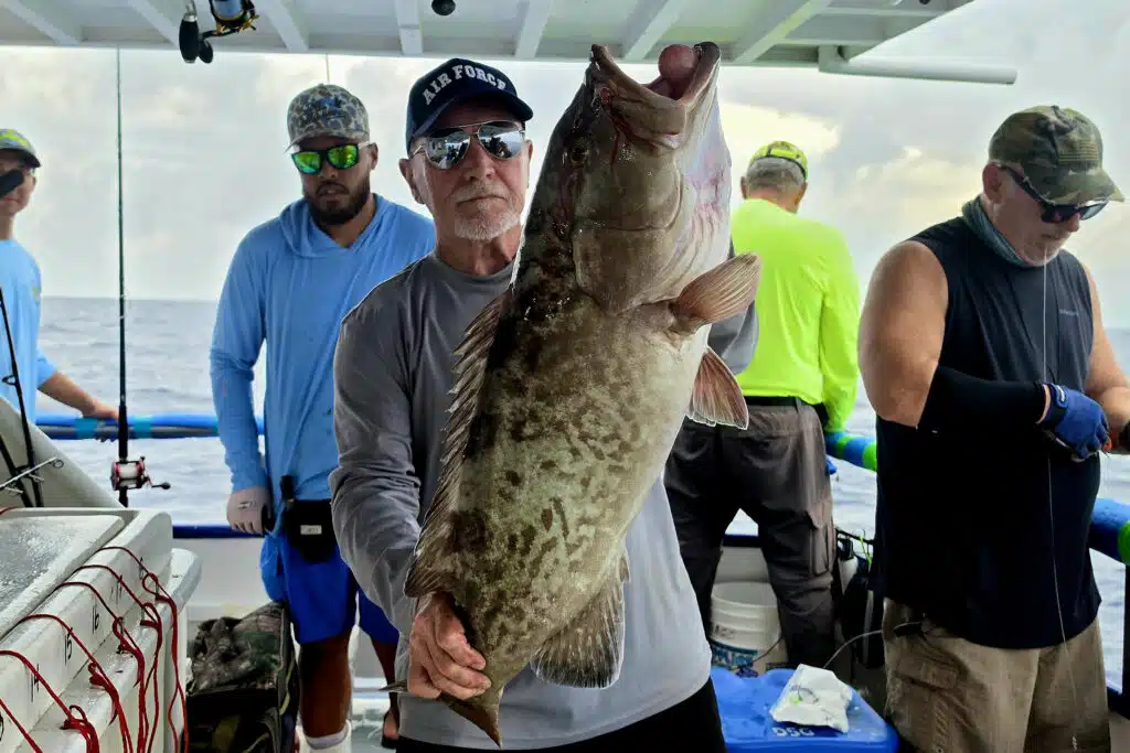 OFFSHORE-gaggrouper (1)