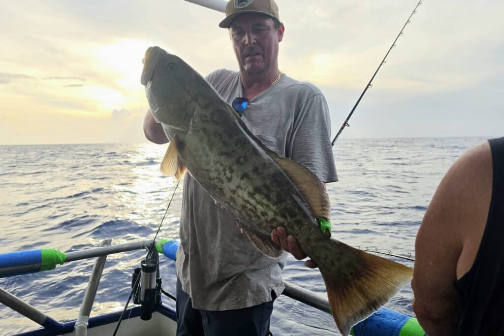 OFFSHORE-gaggrouper