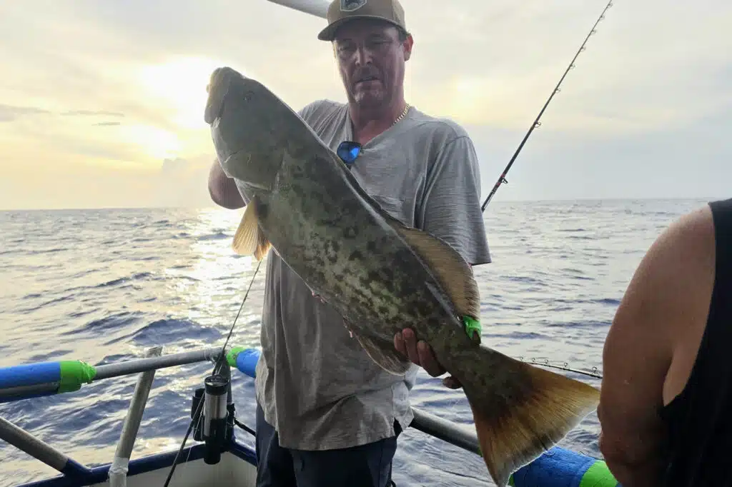 OFFSHORE-gaggrouper