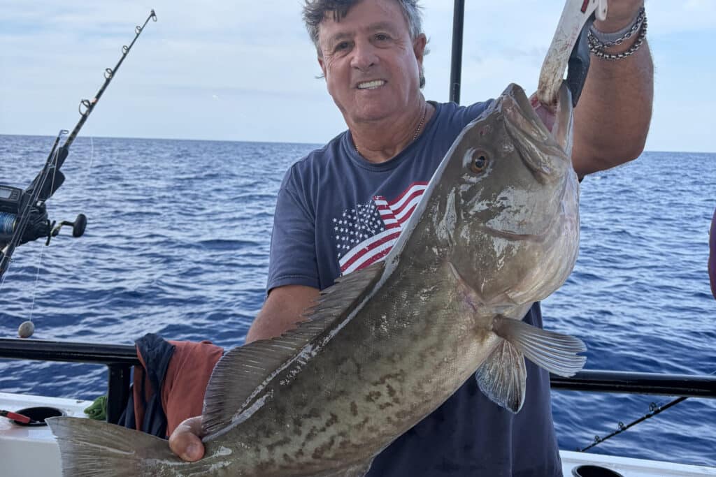OFFSHORE-gaggrouper (3)