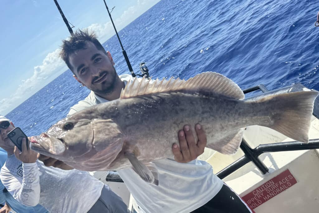 OFFSHORE-gaggrouper (4)