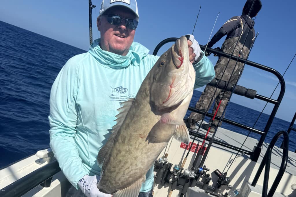 OFFSHORE-gaggrouper (5)
