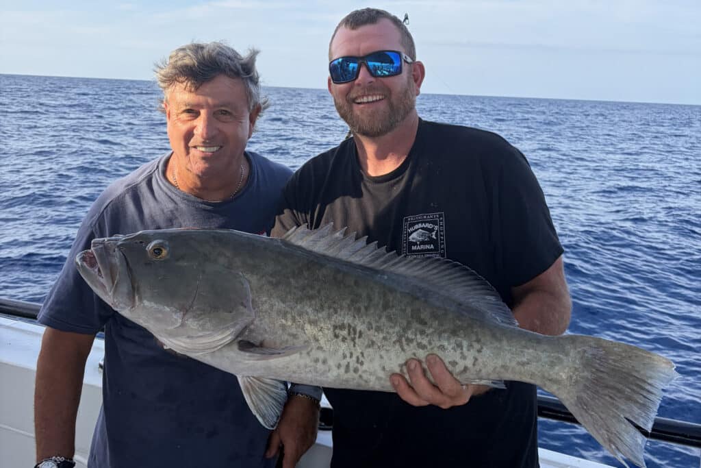OFFSHORE-gaggrouper (6)