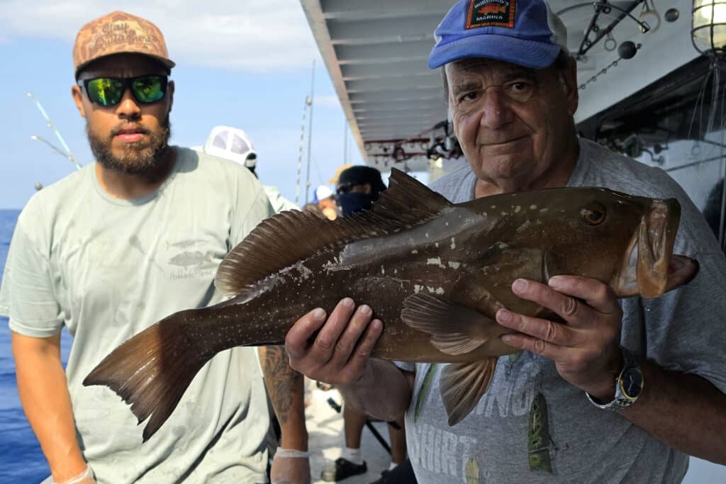OFFSHORE-redgrouper
