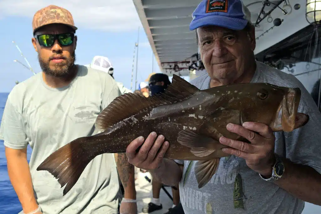 OFFSHORE-redgrouper