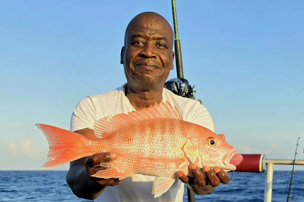 OFFSHORE-redsnapper (1)