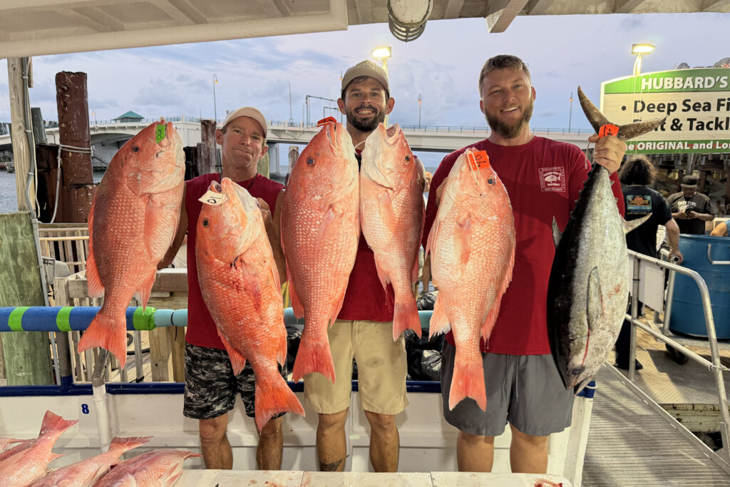 OFFSHORE-redsnapper (10)