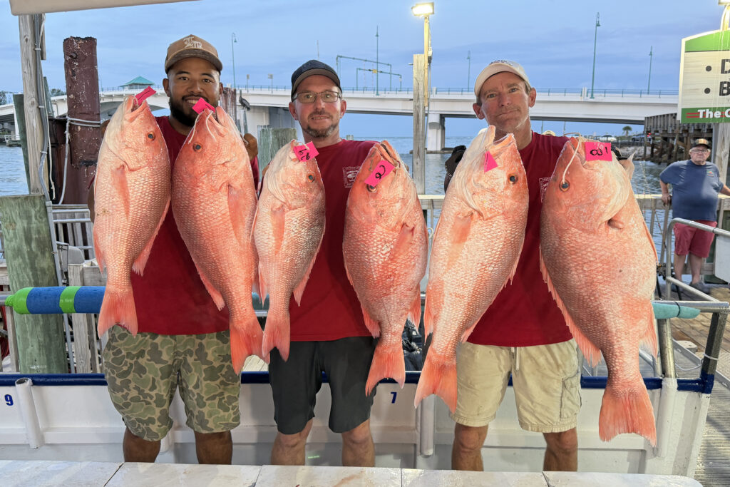 OFFSHORE-redsnapper (9)