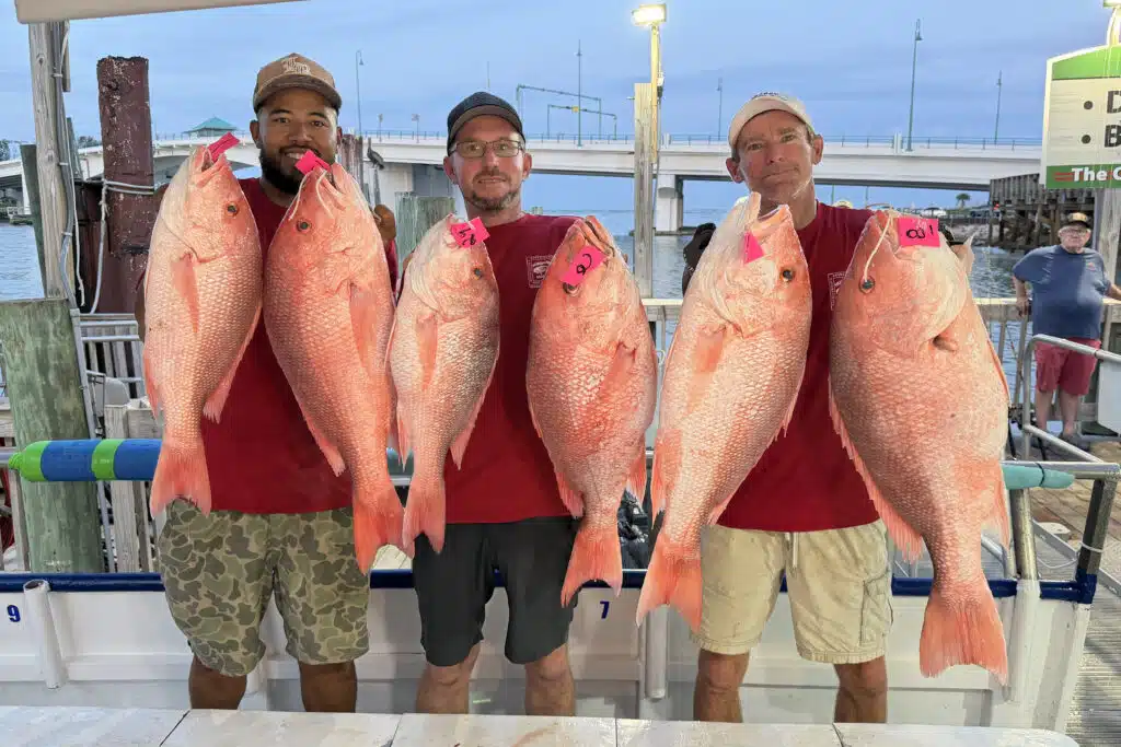 OFFSHORE-redsnapper (9)
