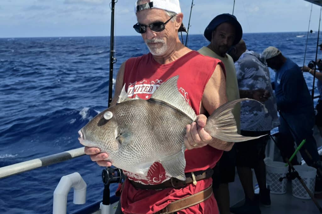 OFFSHORE-triggerfish