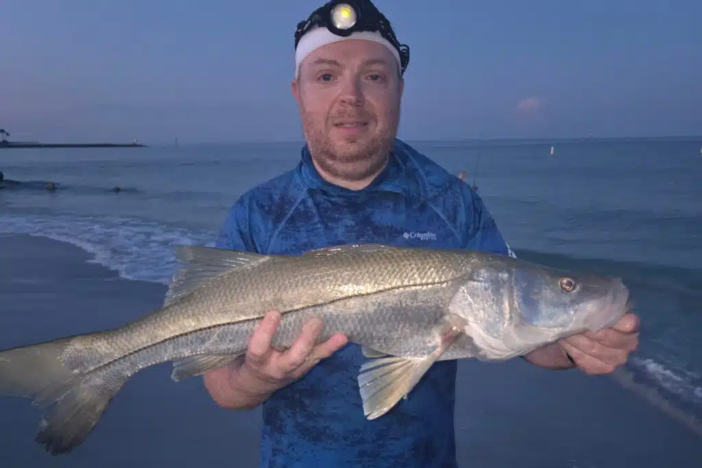 INSHORE-snook (1)