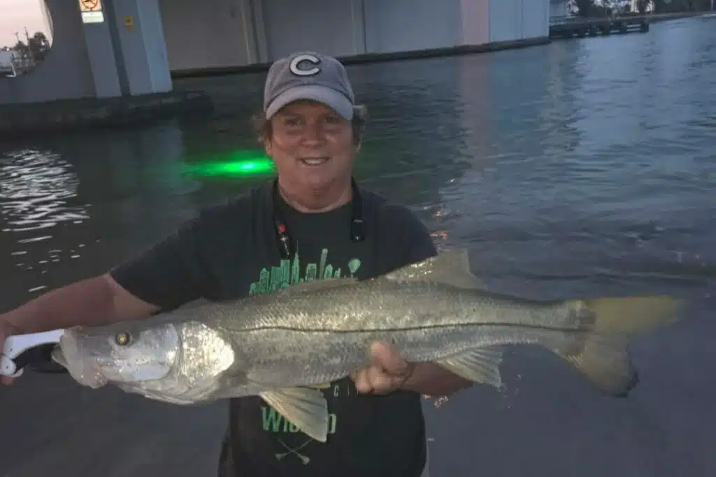 INSHORE-snook (2)