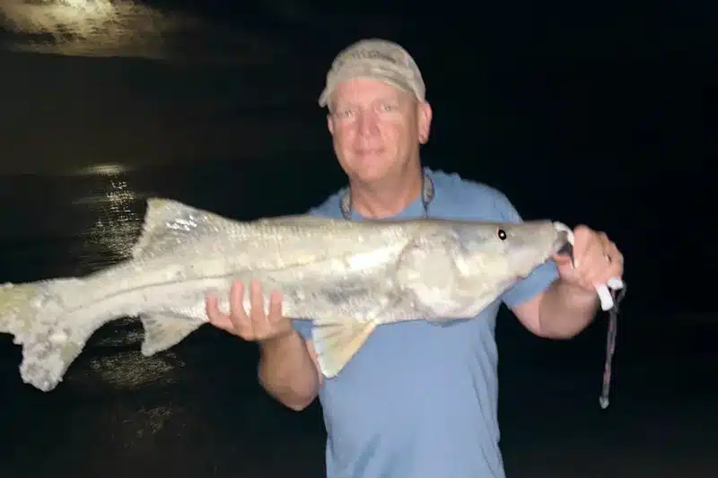 INSHORE-snook4