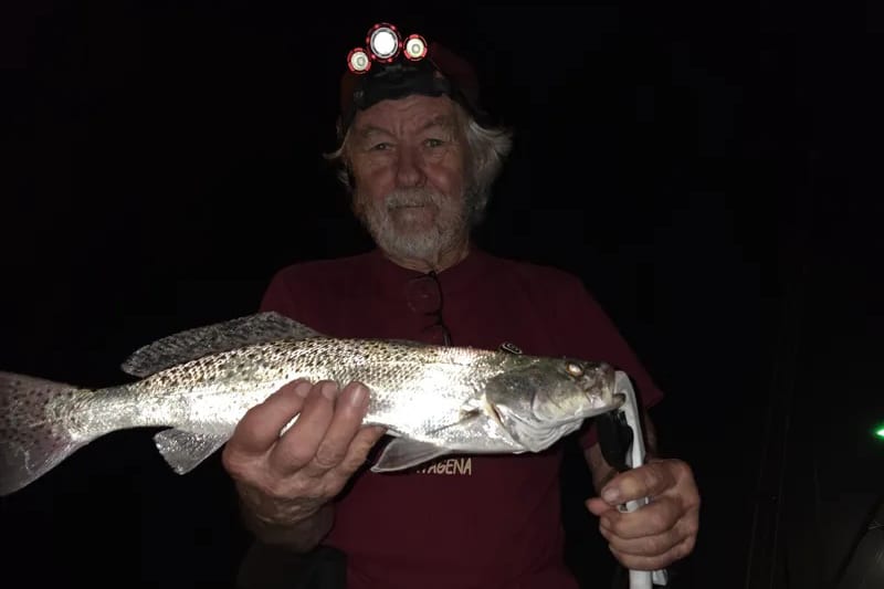 INSHORE-trout