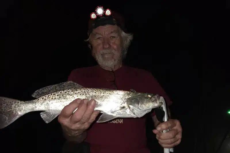 INSHORE-trout