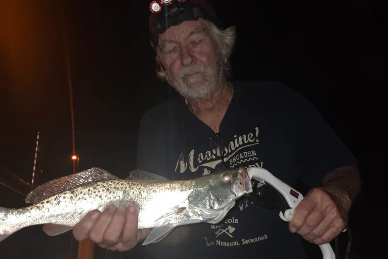 INSHORE-trout5