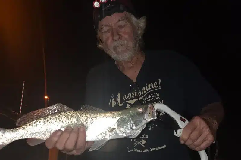 INSHORE-trout5