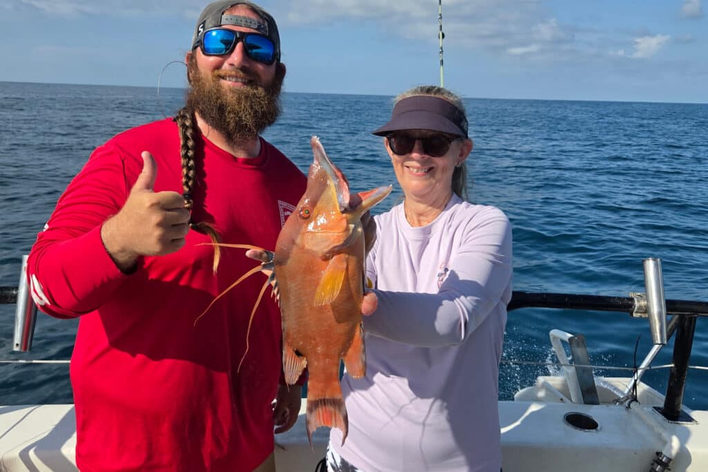 NEARSHORE-hogfish (1)