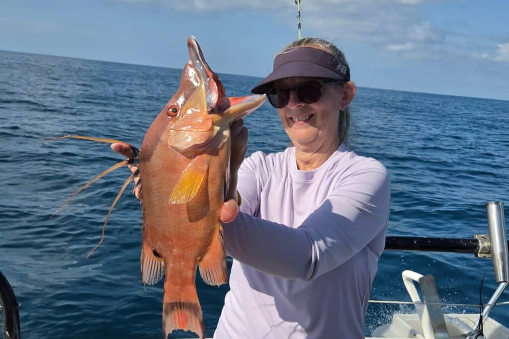 NEARSHORE-hogfish (2)