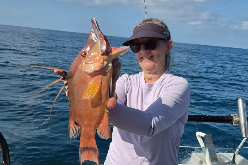 NEARSHORE-hogfish (2)