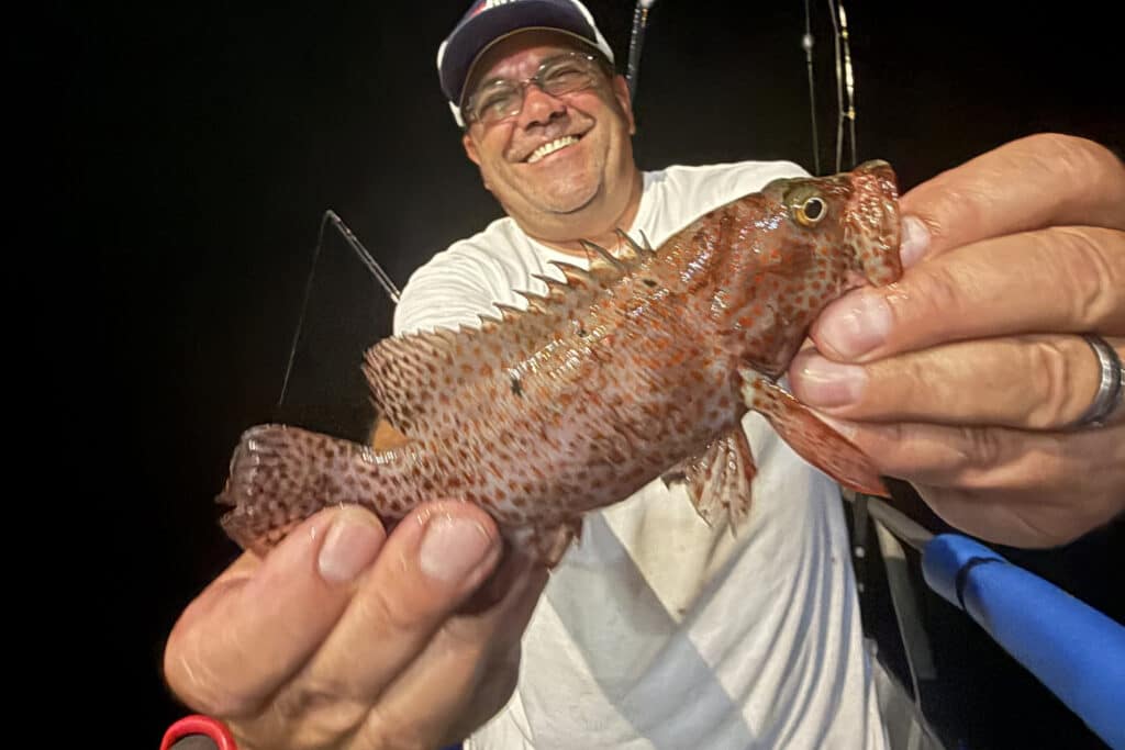 OFFSHORE-baby-grouper